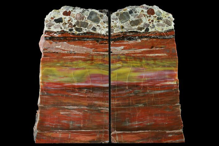 Tall, Arizona Petrified Wood Bookends - Red, Yellow & Purple #166086